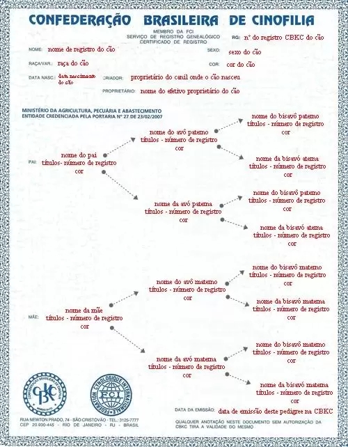 Confederação Brasileira de Cinofilia